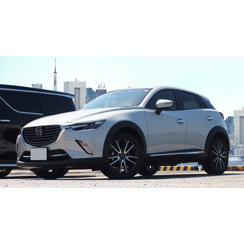 Fit for Mazda CX-3 2016 2017 2018 2019 2020 2021 Chrome Body Side Door Molding Trim Guard Cover Trims